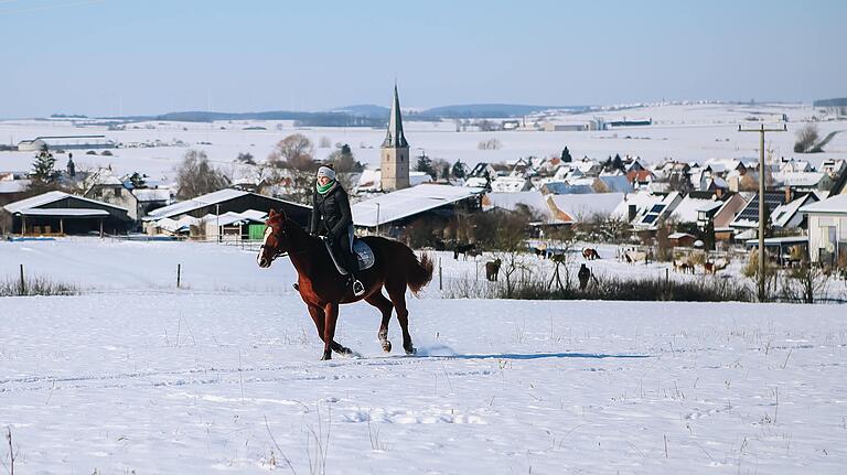 Während der Wintermonate und des Corona-Lockdowns durften die Pferde von den Besitzern draußen im Gelände bewegt werden.&nbsp;