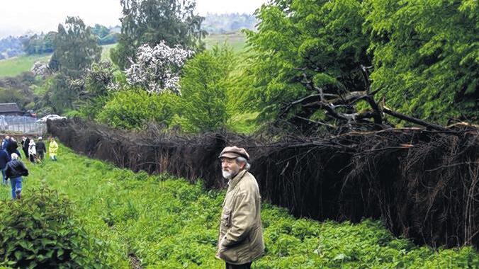 Undurchdringlich: Eine mittlerweile eingegrünte sogenannte Benjeshecke 2010 mit ihrem Erfinder Heinrich Benjes.