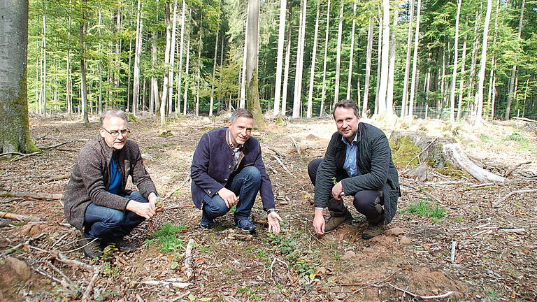 Revierleiter Andreas Holzheimer (links) und der Leiter des Forstbetriebs Rothenbuch, Florian Vogel, (rechts) informierten den Abgeordneten Thorsten Schwab, Mitglied des Landwirtschaftsausschusses im Landtag,&nbsp; über die notwendigen Waldumbaumaßnahmen als Folge des Klimawandels.