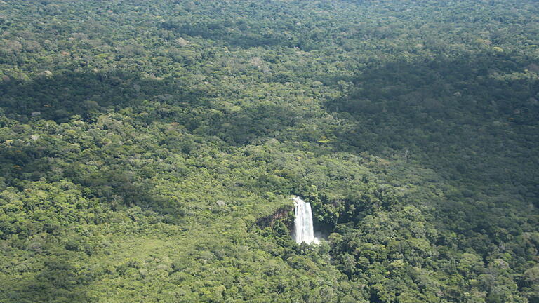 KINA - Wälder schützen, Leben schützen.jpeg       -  Frisch vernetzt: Internet gibt es jetzt auch beim indigenen Stamm der Marubos, im Amazonas-Regenwald in Brasilien.