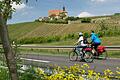 Radeln durch reizvolle Landschaften: Im Landkreis Kitzingen bieten sich viele schöne Radtouren wie hier in Volkach.