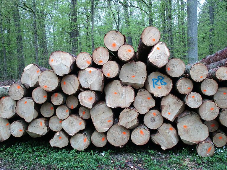 Könnte gefährlich werden: Auf Holzstapel klettern