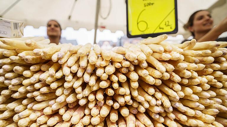 Spargel.jpeg       -  Spargel ist in Deutschland sehr beliebt. Wie viele Vitamin und Mineralstoffe enthält das 'weiße Gold'?