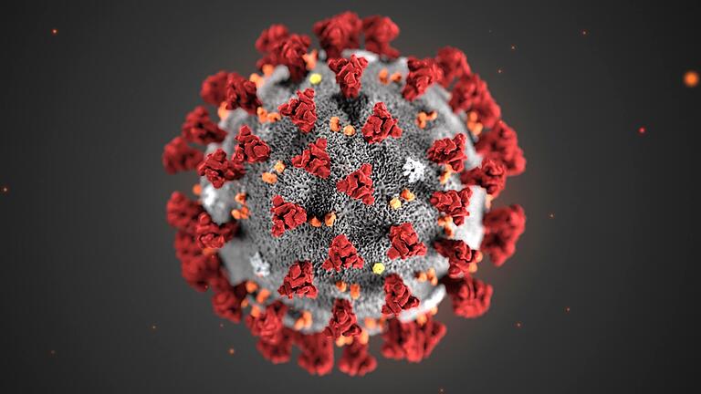 Das SARS-CoV2-Virus, seine Wirkung und mögliche Therapien bei Covid-19-Erkrankungen: In verschiedensten Gruppen und Projekten wird am Würzburger Uniklinikum dazu geforscht.