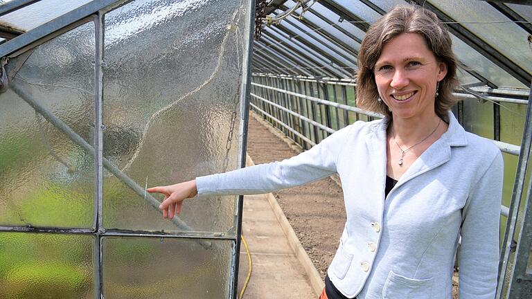 Austausch steht kurz bevor: Einrichtungsleiterin Marianne Bär zeigt auf den Fensterkit, der ab Ende Mai samt der alten Glasscheiben in einem ersten Bauabschnitt entfernt wird. Austausch steht kurz bevor: Einrichtungsleiterin Marianne Bär zeigt auf den Fensterkit, der ab Ende Mai samt der alten Glasscheiben in einem ersten Bauabschnitt entfernt wird.
