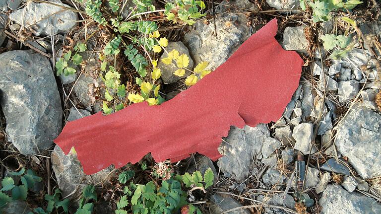 Abgeblätterte Farbe liegt unter der Karolingerbrücke auf dem Boden. Abgeblätterte Farbe liegt unter der Karolingerbrücke auf dem Boden.