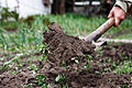Gartenarbeit       -  Gartenarbeit, Beet, Schaufel, Garten, Erde, Symbolbild