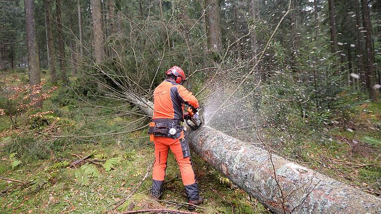 Forstwirt im Schwarzwald - Hitze setzt Bäumen zu: Ein Forstwirt des Landratsamtes Breisgau-Hochschwarzwald entastet bei St. Märgen (Baden-Württemberg) eine gefällte Fichte. Der Nadelbaum und auch der Hopfe sind vom Klimawandel gefährdet. Forstwirt im Schwarzwald - Hitze setzt Bäumen zu: Ein Forstwirt des Landratsamtes Breisgau-Hochschwarzwald entastet bei St. Märgen (Baden-Württemberg) eine gefällte Fichte. Der Nadelbaum und auch der Hopfe sind vom Klimawandel gefährdet.