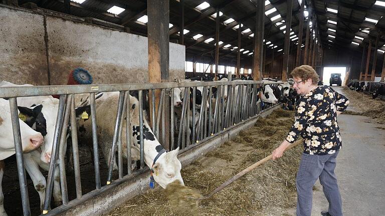 Rita Jörg liebt es bei den Kühen im Stall zu sein. Da gibt es dann schon auch mal eine Gabel Futter extra. Foto: Marion Eckert - Rita Jörg liebt es bei den Kühen im Stall zu sein. Da gibt es dann schon auch mal eine Gabel Futter extra. Foto: Marion Eckert Rita Jörg liebt es bei den Kühen im Stall zu sein. Da gibt es dann schon auch mal eine Gabel Futter extra. Foto: Marion Eckert - Rita Jörg liebt es bei den Kühen im Stall zu sein. Da gibt es dann schon auch mal eine Gabel Futter extra. Foto: Marion Eckert