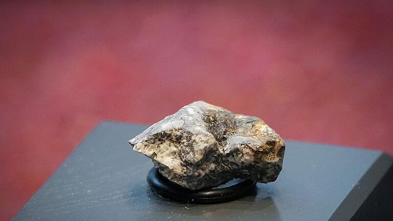 Ribbecker Meteoriten-Bruchstücke im Naturkundemuseum       -  Die Trümmer des &bdquo;Ribbeck&rdquo;-Meteoriten, der im Januar in Brandenburg niederging, rochen intensiv nach faulen Eiern.