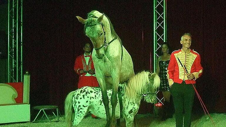 „Groß und Klein“ heißt die Dressur von Hengst Pegasus und seinem Freund, dem Pony. - „Groß und Klein“ heißt die Dressur von Hengst Pegasus und seinem Freund, dem Pony. „Groß und Klein“ heißt die Dressur von Hengst Pegasus und seinem Freund, dem Pony. - „Groß und Klein“ heißt die Dressur von Hengst Pegasus und seinem Freund, dem Pony.