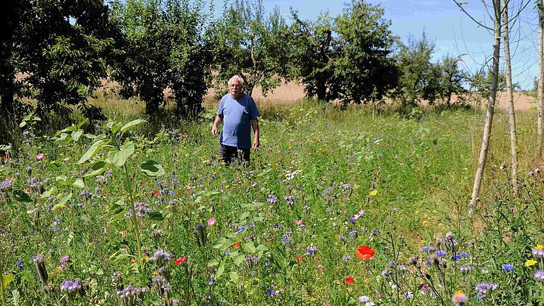 Eine bunte Blühwiese verschönert schon jetzt den östlichen Eingang nach Neubessingen. Gerhard Wurst und sein Verein wollen das ehemalige Mutterquartier für Energieholz zu einer Artenschutzinsel umbauen. Eine bunte Blühwiese verschönert schon jetzt den östlichen Eingang nach Neubessingen. Gerhard Wurst und sein Verein wollen das ehemalige Mutterquartier für Energieholz zu einer Artenschutzinsel umbauen.