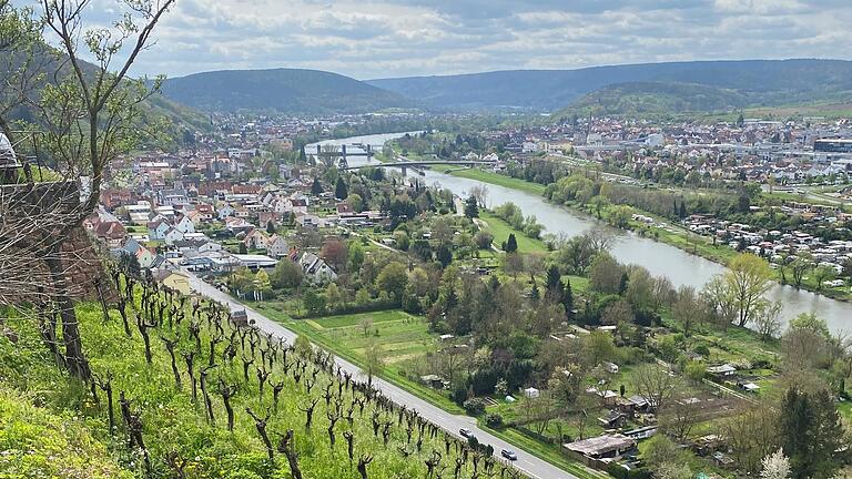 Weinterrassen über dem Maintal prägen die Landschaft in Churfranken.