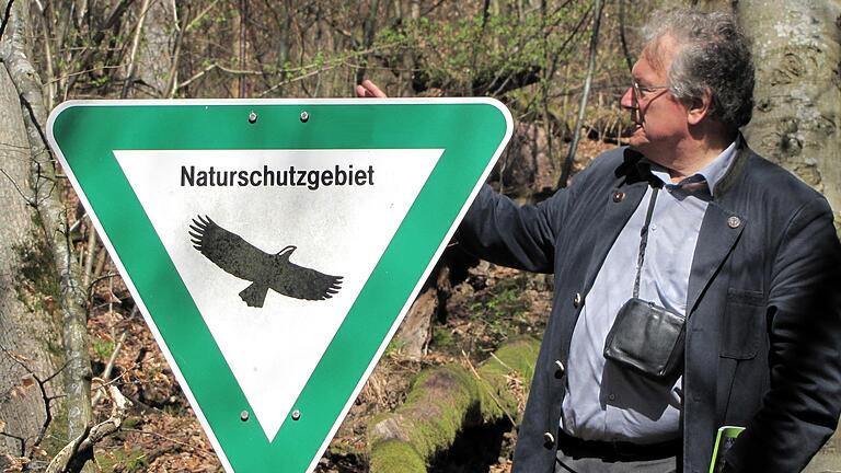 Was genau hat der Vorstandsvorsitzende der Bayerischen Staatsforsten, Martin Neumeyer, dem Ehrenvorsitzenden des Bund Naturschutz, Hubert Weiger (hier auf einem Archivbild im Steigerwald), bei einem Termin im Sommer im Hinblick auf die Nichtfällung von 'dicken Buchen' versprochen? Das ist die strittige Frage. Was genau hat der Vorstandsvorsitzende der Bayerischen Staatsforsten, Martin Neumeyer, dem Ehrenvorsitzenden des Bund Naturschutz, Hubert Weiger (hier auf einem Archivbild im Steigerwald), bei einem Termin im Sommer im Hinblick auf die Nichtfällung von 'dicken Buchen' versprochen? Das ist die strittige Frage. 