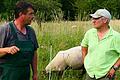 Schafhalter Frank Scharbert (links) spricht sich mit Wikiwolves-Helfer Mike ab, der in der Nacht seine Herde bewachen wird.