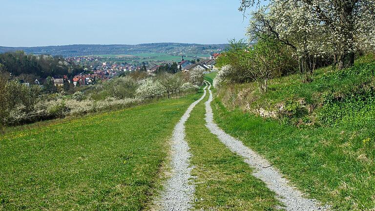 Flurwege wie diesen im innerern Grund in Retzbach Richtung Naturschutzgebiet 'Klotz' wünscht sich der Bund Naturschutz.