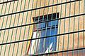 Raus in ein besseres Wohnumfeld: Ein Fenster der Gemeinschaftsunterkunft für Asylsuchende in der Veitshöchheimer Straße.KATJA KLEIN