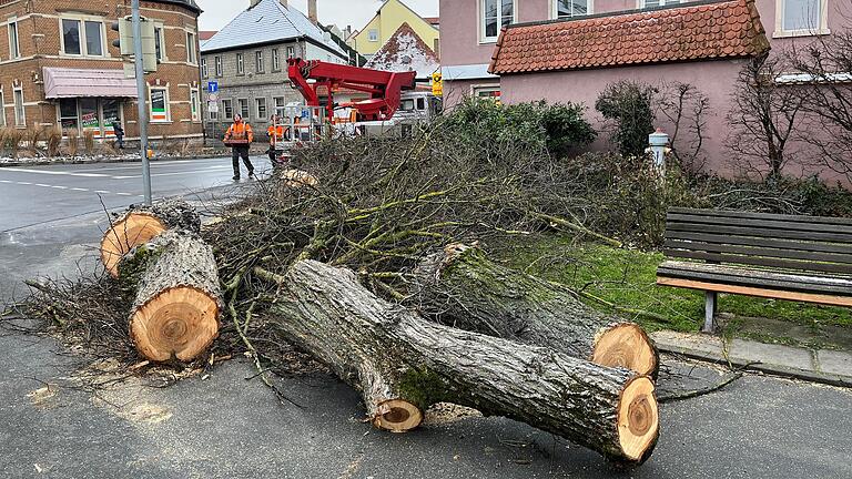 In Kitzingen an der Kreuzung der B 8 und der Straße Am Stadtgraben, die in die Innenstadt führt, musste neben der Lotto-Annahmestelle ein Baum gefällt werden. In Kitzingen an der Kreuzung der B 8 und der Straße Am Stadtgraben, die in die Innenstadt führt, musste neben der Lotto-Annahmestelle ein Baum gefällt werden.