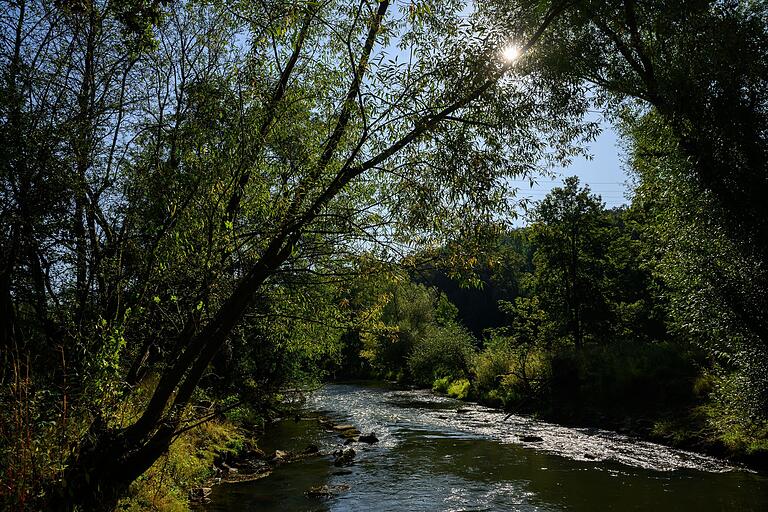 Das Saaletal ist am schönsten, wenn sich die Herbstsonne in den Blättern bricht und im Wasser glitzert. Das Saaletal ist am schönsten, wenn sich die Herbstsonne in den Blättern bricht und im Wasser glitzert.