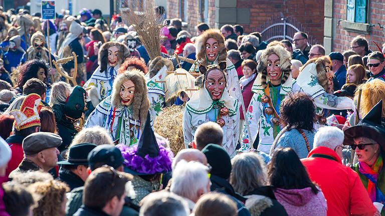 Die Maskenvielfalt war groß beim Rhöner Maskenfasching.