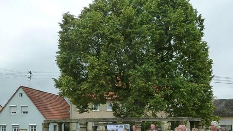 Ansgar Albert aus Birnfeld erzählte der Teilnehmerschar der Sommerreise des Historischen Vereins Landkreis Haßberge aus dem Leben der vielhundertjährigen Dorflinde seines Heimatortes. Ansgar Albert aus Birnfeld erzählte der Teilnehmerschar der Sommerreise des Historischen Vereins Landkreis Haßberge aus dem Leben der vielhundertjährigen Dorflinde seines Heimatortes.