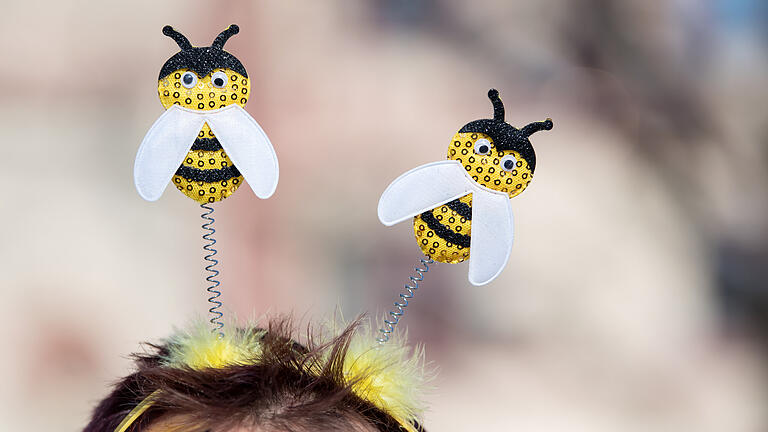 Volksbegehren Rettet die Bienen 2019.jpeg       -  Bayern für Bienen: Ein Demonstrant steht 2019 vor dem Landtag.