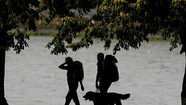 Wandertour mit Hund       -  Genug Proviant einpacken und die Distanz langsam steigern: Dann können Hunde ohne Probleme eine Wandertour bewältigen.