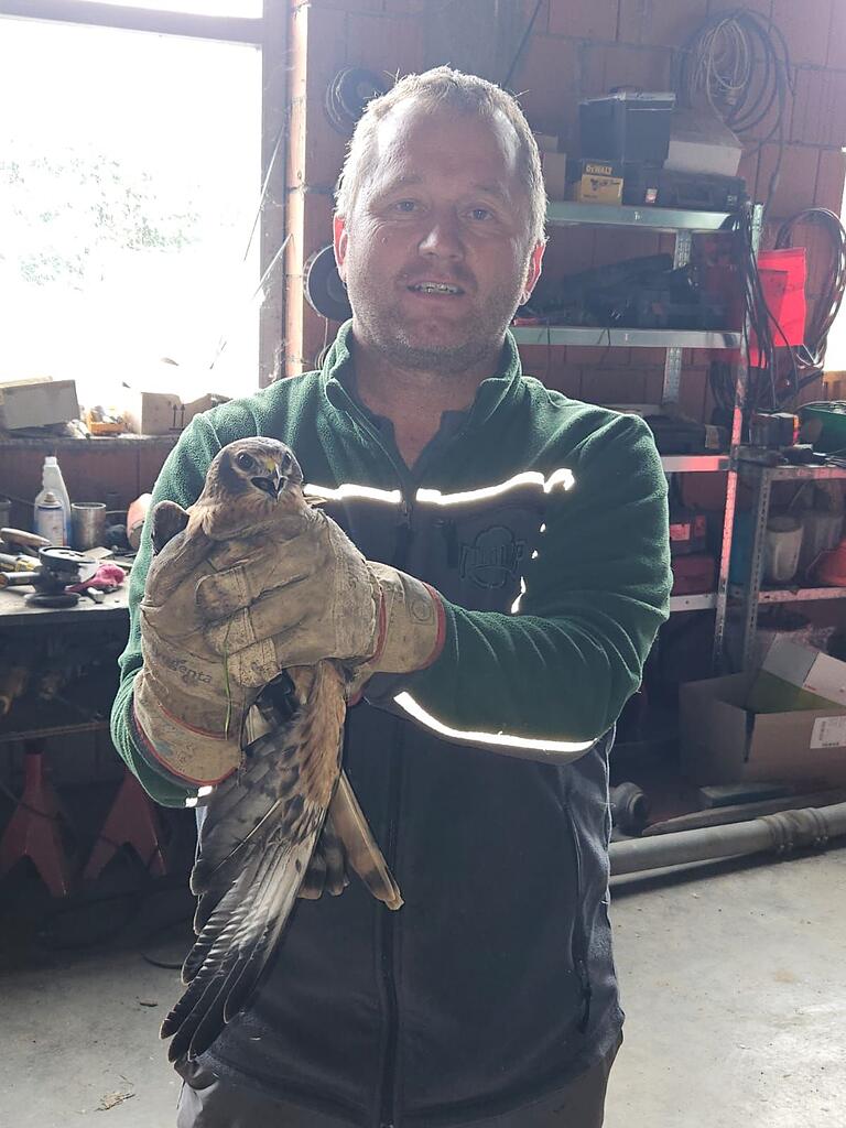 Matthias Wörner erinnert sich, wie er selbst durch die dicken Handschuhe den Herzschlag des Vogels spüren konnte. Matthias Wörner erinnert sich, wie er selbst durch die dicken Handschuhe den Herzschlag des Vogels spüren konnte.