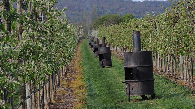 Wärme gegen die Kälte: Winzer und Obstbauern versuchten so, ihre Ernte zu retten. Holzöfen hatte Obstbauer Alois Endres im Knetzgauer Ortsteil Zell am Ebersberg aufgestellt. Knapp sieben Grad Minus hatte hier das Thermometer in der Nacht zum Donnerstag angezeigt. Wärme gegen die Kälte: Winzer und Obstbauern versuchten so, ihre Ernte zu retten. Holzöfen hatte Obstbauer Alois Endres im Knetzgauer Ortsteil Zell am Ebersberg aufgestellt. Knapp sieben Grad Minus hatte hier das Thermometer in der Nacht zum Donnerstag angezeigt.