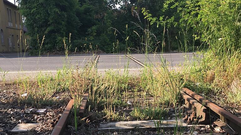 Steigerwaldbahn: Der Gutachter gibt den Bahngegnern Recht       -  Wie teuer würde eine mögliche Reaktivierung der Bahnstrecke zwischen Schweinfurt und Gerolzhofen? Bislang geisterten die unterschiedlichsten Kostenaufstellungen durch die Diskussionen. Im Bild der Bahnübergang an der Frankenwinheimer Straße, wo noch marode Holzschwellen unter dem Gleis verlegt sind.