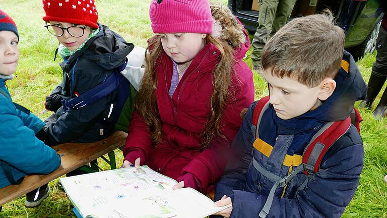 Im 'Waldtagebuch' können die Grundschüler ihr Wissen festhalten.