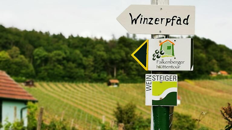 Aussichtspunkte im Weinpanorama Steigerwald: Um den Falkenberg in Falkenstein lässt es sich gut&nbsp; wandern.