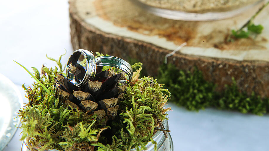 the wedding rings lying on a moss and cone       -  In Kombination mit Holz macht Moos jede Hochzeit modern-rustikal.