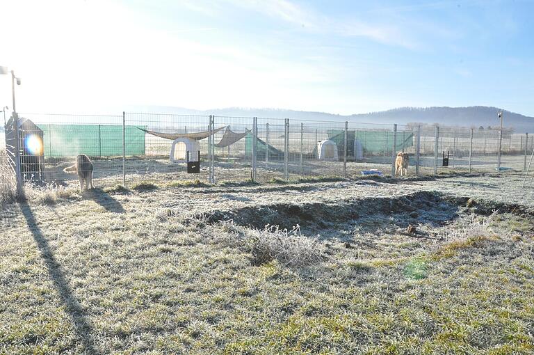 Hier soll ein neues Hundehaus errichtet werden. Doch die Rücklagen, die dafür verwendet werden sollten, nutzt das Tierheim aktuell, um das Defizit auszugleichen. Hier soll ein neues Hundehaus errichtet werden. Doch die Rücklagen, die dafür verwendet werden sollten, nutzt das Tierheim aktuell, um das Defizit auszugleichen.