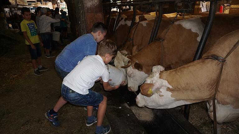 Die 4. Klasse der Grundschule Burglauer war im Rahmen der bayernweiten Aktionswochen &bdquo;Sommer.Erlebnis.Bauernhof&ldquo; auf dem Erlebnisbauernhof von Manfred Werner in Unterweißenbrunn zu Gast.Foto: Marion Eckert