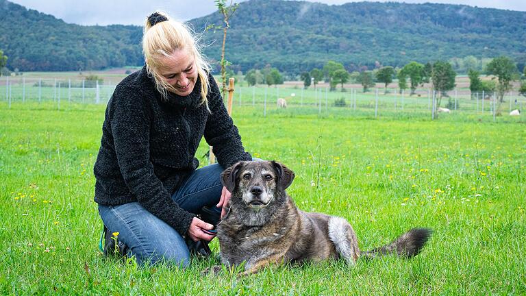 Noch kümmert sich Britta Merkel, Vorsitzende der Tierschutzinitiative Haßberge, um 'Wulfi'. Er sucht ein neues Frauchen oder Herrchen.