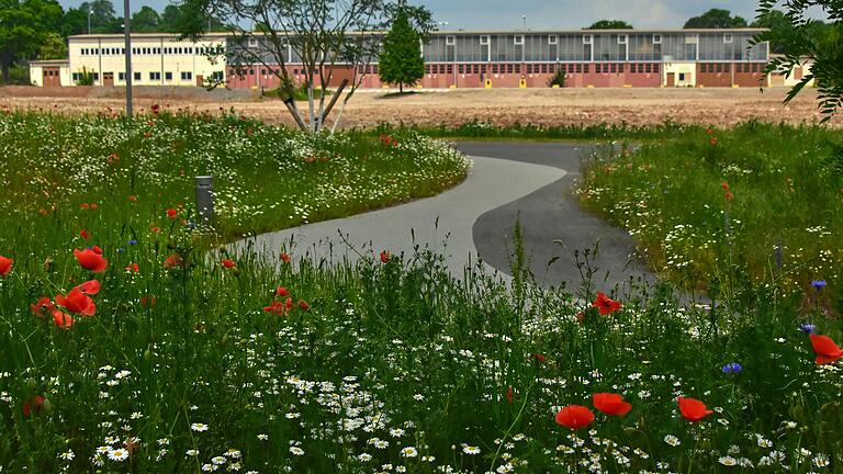 Die Carus-Allee (hier der Blick auf die Panzerhalle 237) in der Ledward Kaserne hat sich gerade im Sommer mit ihrer Blütenpracht zu einem beliebten Freizeitort in Schweinfurt entwickelt.