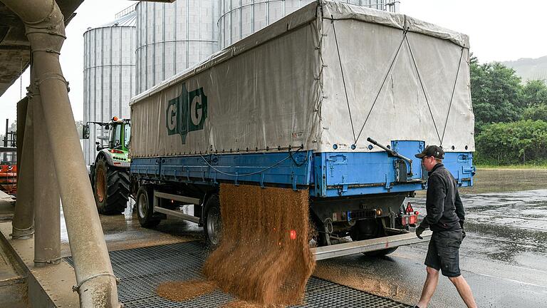 Über der sogenannten Entladegosse kippt der Landwirt seine Getreidefracht aus. Im Hintergrund die neue Siloanlage, in die die Bayernhof GmbH im vergangenen Jahr 1,4 Millionen Euro investiert hat. Über der sogenannten Entladegosse kippt der Landwirt seine Getreidefracht aus. Im Hintergrund die neue Siloanlage, in die die Bayernhof GmbH im vergangenen Jahr 1,4 Millionen Euro investiert hat.