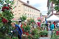 Das 13. Creglinger Rosenblüten- und Lichterfest findet am Samstag, 16. Juni, und am Sonntag, 17. Juni, im Garten des Creglinger Romschlössles statt.