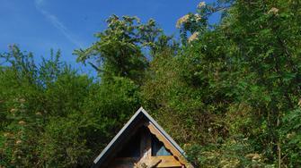 Dieses Holzkreuz weist den Weg in Richtung Steinbruch.