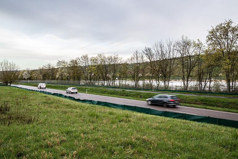 Die Marktbreiter Straße ist viel befahren und für Kröten und Frösche nicht gefahrlos zu überqueren.