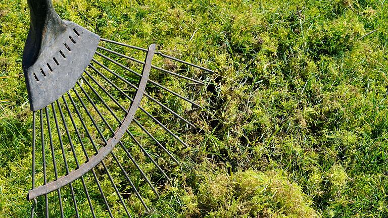 Mit einem Metallrechen lässt sich der Rasen gut vertikutieren, um Moos und alte Pflanzenteile zu entfernen.