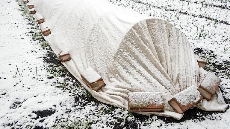 Ein kleines Gewächshaus schützt die Pflanzen während des Frühjahrsfrostes. Ein kleines Gewächshaus schützt die Pflanzen während des Frühjahrsfrostes.