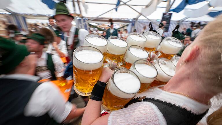 Chiemgauer Gaufest 2024       -  Bayern- oder auch Deutschland-Klischee pur: Eine Bedienung trägt in einem Festzelt Maßkrüge - hier beim Gaufest des Chiemgau-Alpenverbands 2024. (Archivbild)