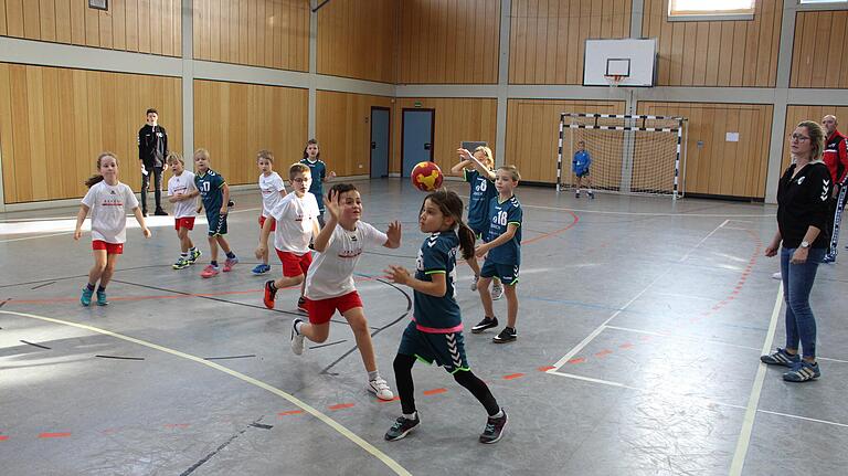 Aktuell liegt das Handball-Training des TV Gerolzhofen auf Eis. Das Foto ist vor der Corona-Pandemie entstanden. Aktuell liegt das Handball-Training des TV Gerolzhofen auf Eis. Das Foto ist vor der Corona-Pandemie entstanden.