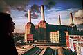 BRITAIN-ENTERTAINMENT-MUSIC       -  Surreal: Eine Besucherin des Victoria and Abert Museums vor einem Cover des Pink-Floyd-Albums &bdquo;Animals&ldquo;.