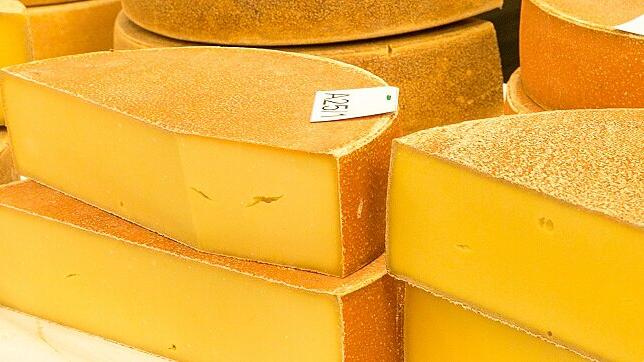Käseprüfung in Stein       -  Bergkäse hat einen intensiven Geruch &ndash; nicht jedem gefällt das.  Symbol