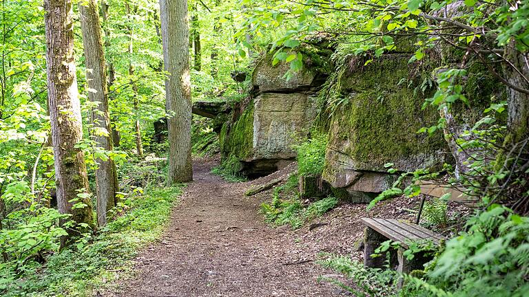 Die Felsenkanzel (hinten im Bild) ragt über den Wanderweg. Der Sage nach, hält hier einmal im Jahr der Oberwichtel eine Versammlung für alle Wichtel ab. Die Felsenkanzel (hinten im Bild) ragt über den Wanderweg. Der Sage nach, hält hier einmal im Jahr der Oberwichtel eine Versammlung für alle Wichtel ab.
