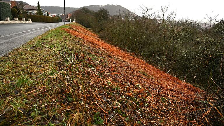 Folge eines Missverständnisses: Zum Teil wurden die Gehölzarbeiten an der Johann-Langhans-Straße in Zeil mit einer Breite bis zu fünf Metern durchgeführt, während die Stadt Zeil eigentlich nur drei Meter vorgesehen hatte.