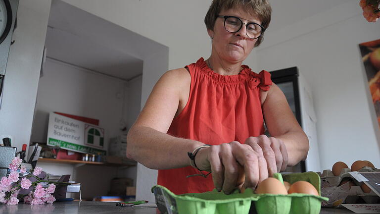 Petra Wahler betreibt in Bergrheinfeld einen Hofladen, ihre Hühner leben direkt am Hof in mobilen Hühnerställen. Die Auflagen der Lebensmittelkontrolleure seien streng, aber notwendig, sagt sie. Petra Wahler betreibt in Bergrheinfeld einen Hofladen, ihre Hühner leben direkt am Hof in mobilen Hühnerställen. Die Auflagen der Lebensmittelkontrolleure seien streng, aber notwendig, sagt sie. 